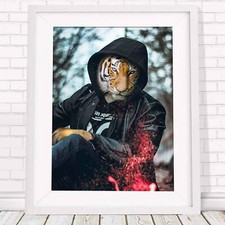 501076 Tiger - Urban Jungle