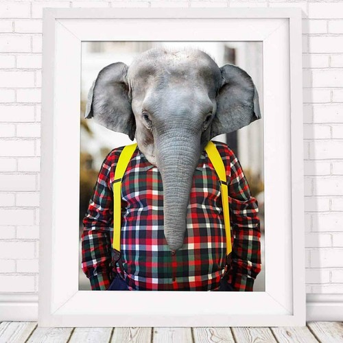 501018 elephant urban - 501018, jungle