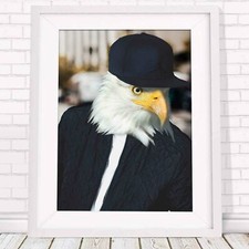 501019 Eagle - Urban Jungle